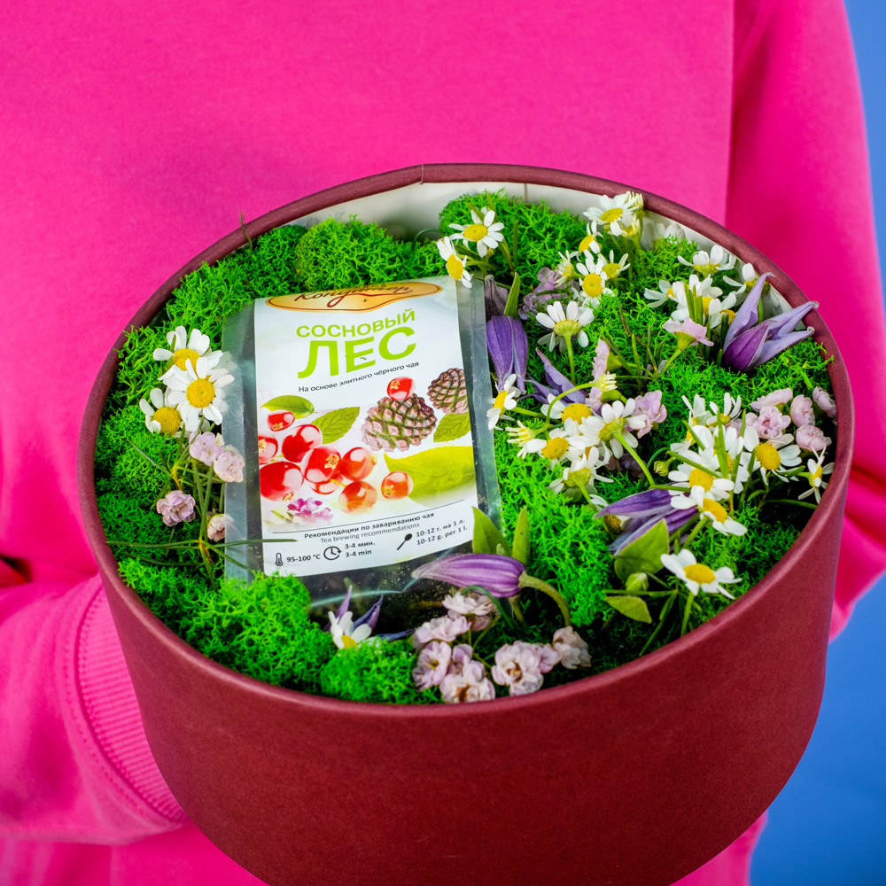 Композиция «Альпийские луга» Композиция «Альпийские луга»