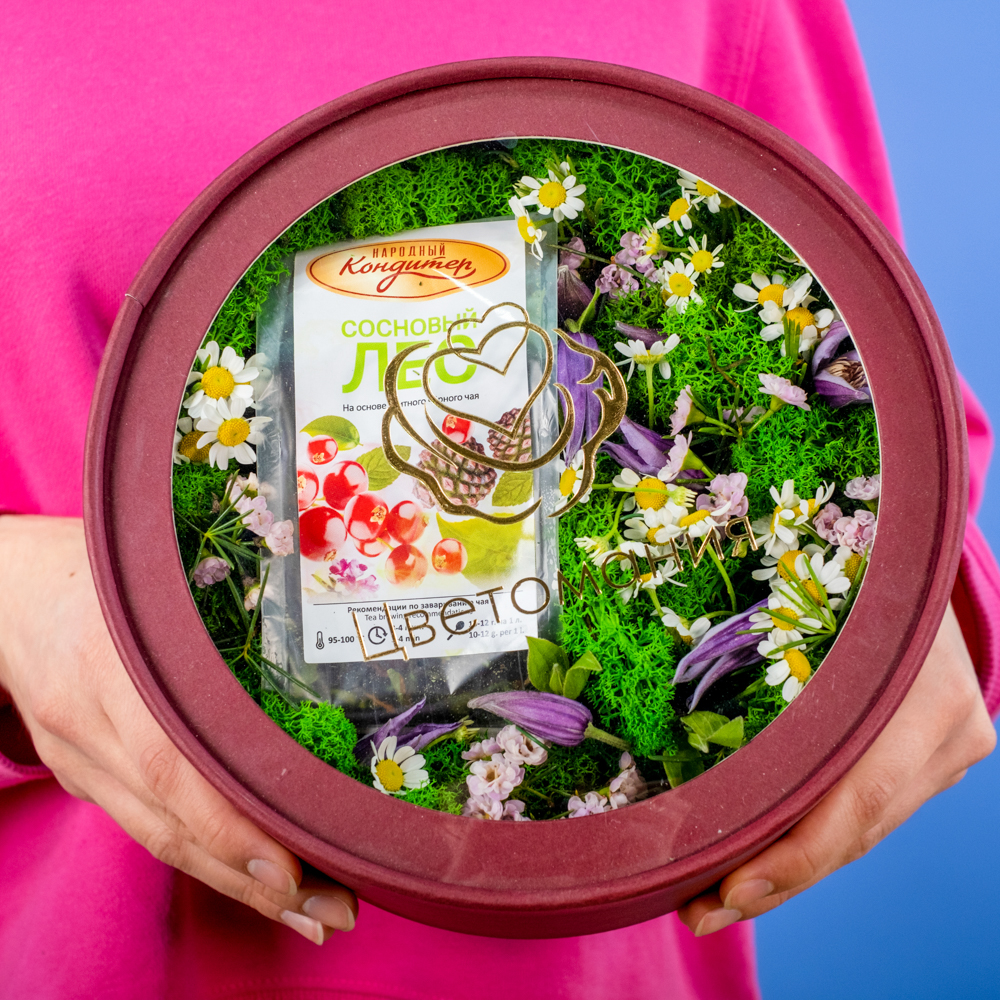 Композиция «Альпийские луга» Композиция «Альпийские луга»