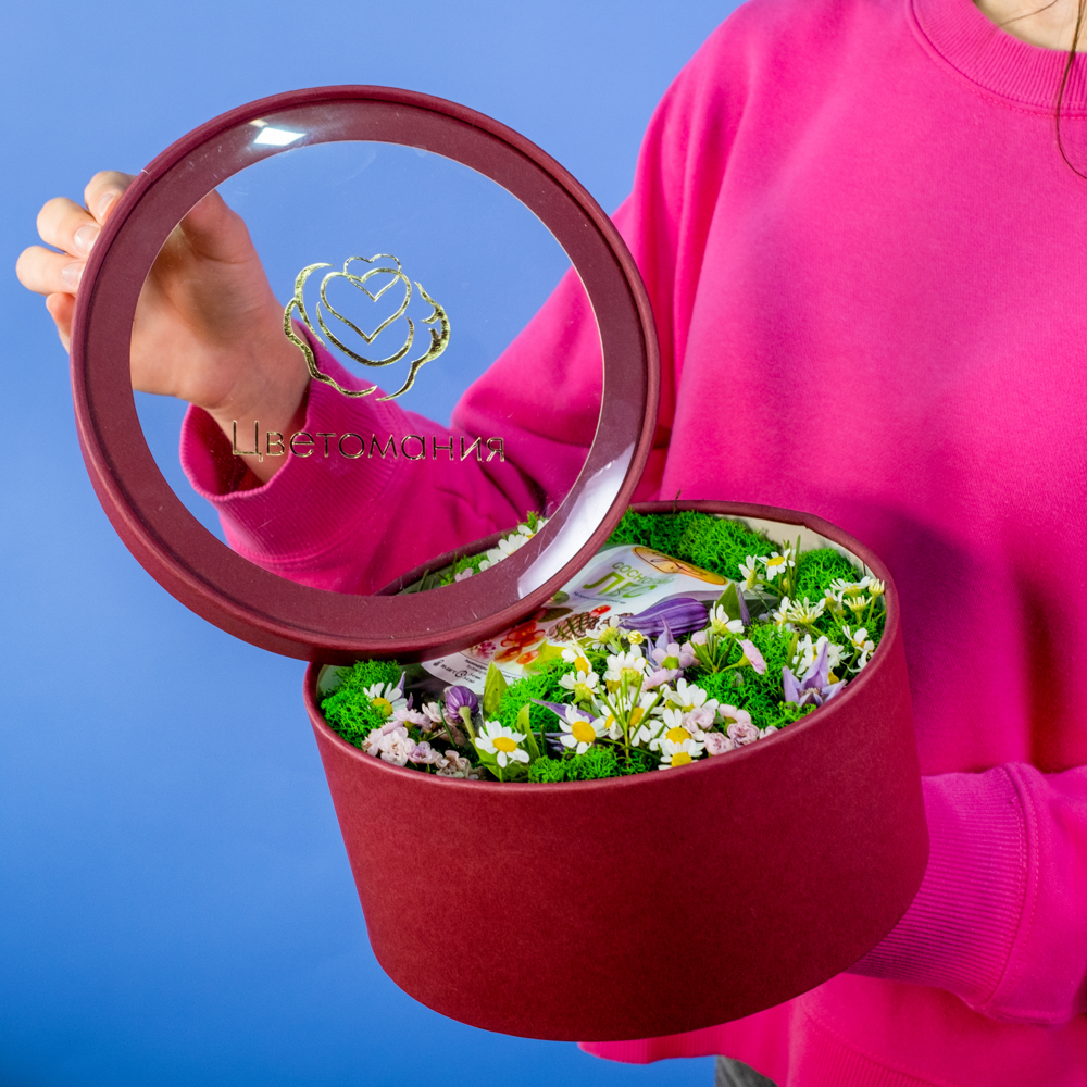 Композиция «Альпийские луга» Композиция «Альпийские луга»