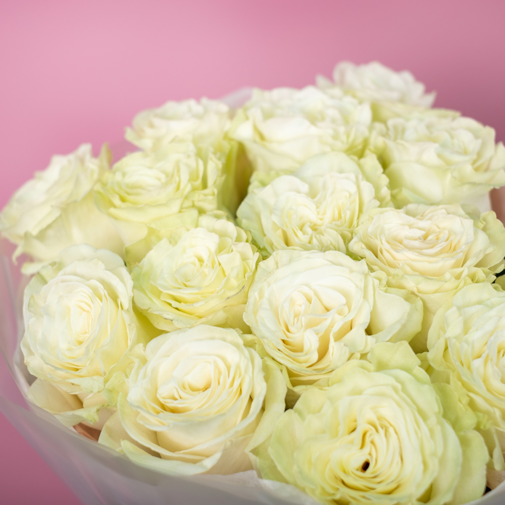 Букет из 15 белых роз 40-50 см  (Эквадор) Букет из 15 белых роз 40-50 см  (Эквадор)